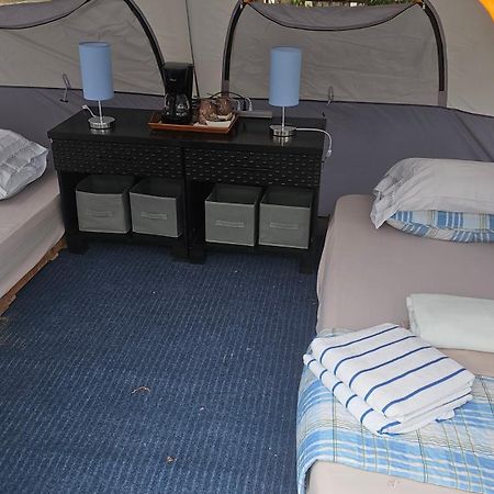 Sweet Dreams Bed & Breakfast ซานการ์ลอส ภายนอก รูปภาพ