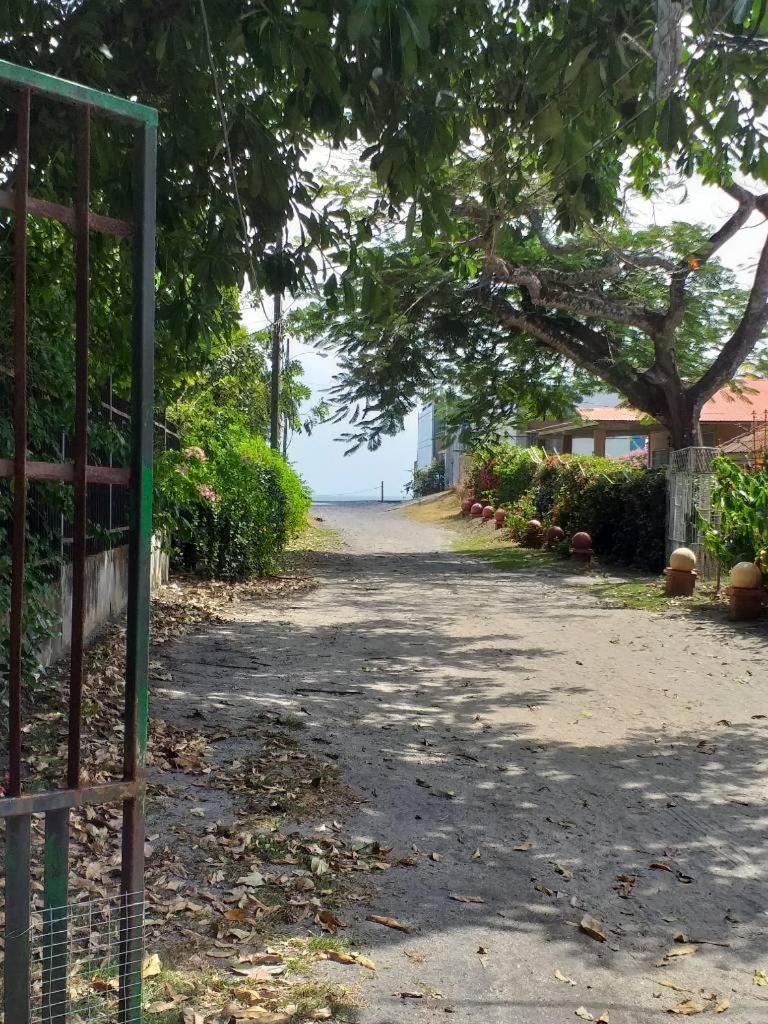 Sweet Dreams Bed & Breakfast ซานการ์ลอส ภายนอก รูปภาพ