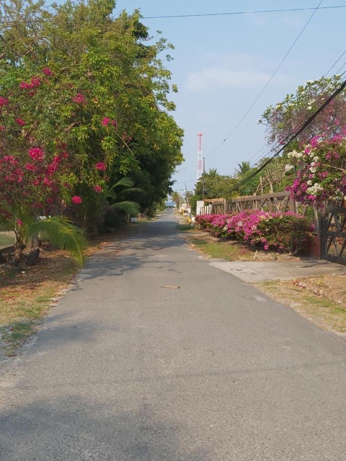 Sweet Dreams Bed & Breakfast ซานการ์ลอส ภายนอก รูปภาพ